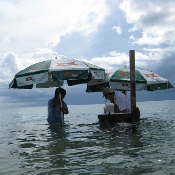 cozumelcoralpropproject2007javertake 191 cozumelcoralpropproject2007javertake 191
