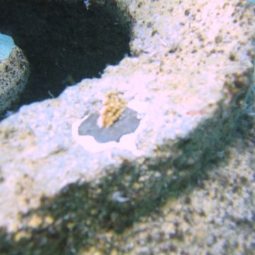 IMG_8978 IMG_8978
