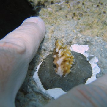 IMG_8979 IMG_8979