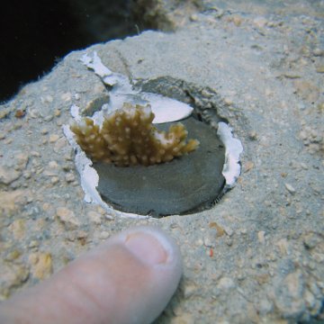 IMG_8985 IMG_8985