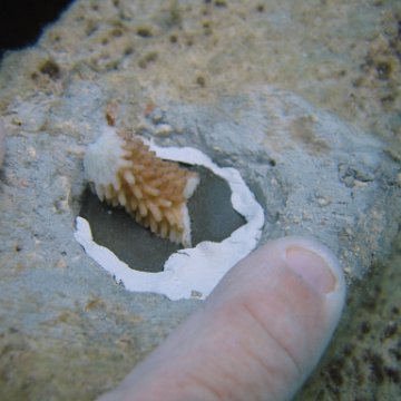 IMG_8988 IMG_8988