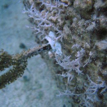 IMG_9000 IMG_9000