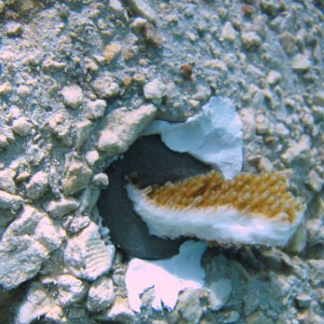 IMG_9001 IMG_9001