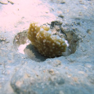 IMG_9003 IMG_9003