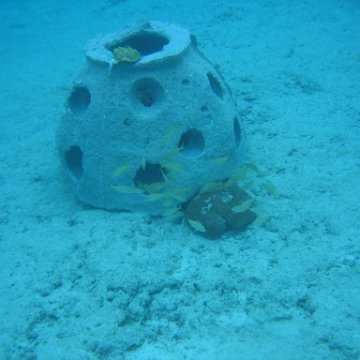 IMG_9007 IMG_9007