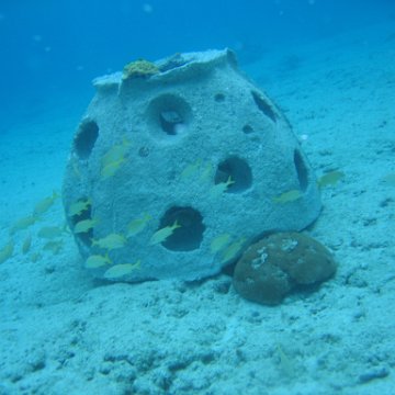 IMG_9008 IMG_9008