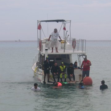 IMG_8947 IMG_8947