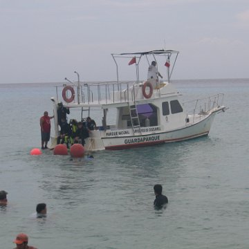 IMG_8954 IMG_8954