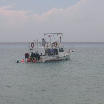 IMG_8955 IMG_8955