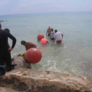 IMG_8956 IMG_8956