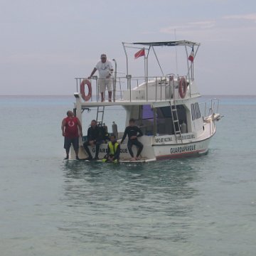 IMG_8957 IMG_8957