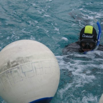 IMG_8965 IMG_8965