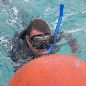IMG_8967 IMG_8967