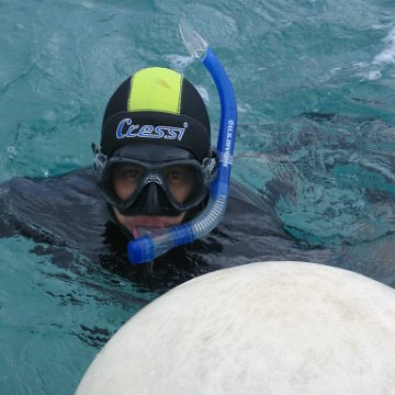 IMG_8970 IMG_8970