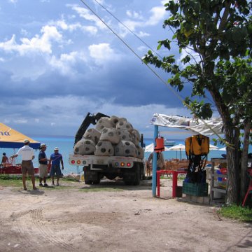 cozumelcoralpropproject2007javertake 040 cozumelcoralpropproject2007javertake 040