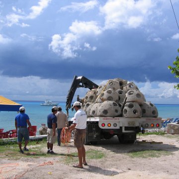 cozumelcoralpropproject2007javertake 041 cozumelcoralpropproject2007javertake 041