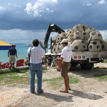 cozumelcoralpropproject2007javertake 170 cozumelcoralpropproject2007javertake 170