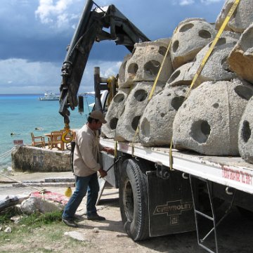 cozumelcoralpropproject2007javertake 171 cozumelcoralpropproject2007javertake 171