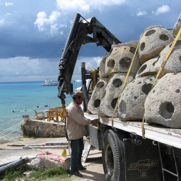 cozumelcoralpropproject2007javertake 172 cozumelcoralpropproject2007javertake 172