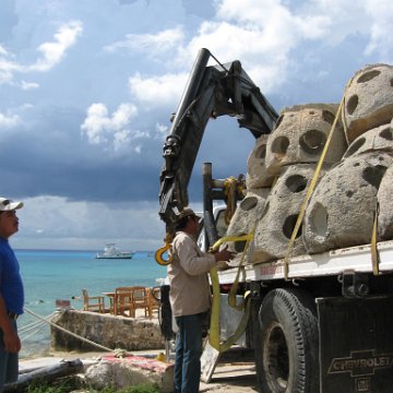 cozumelcoralpropproject2007javertake 173 cozumelcoralpropproject2007javertake 173