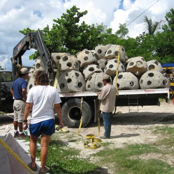 cozumelcoralpropproject2007javertake 174 cozumelcoralpropproject2007javertake 174
