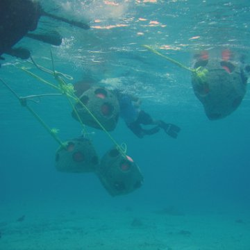 underwater underwater