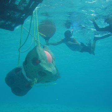 IMG_8924 IMG_8924