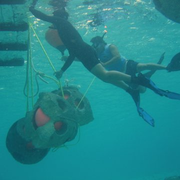IMG_8925 IMG_8925