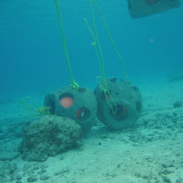 IMG_8929 IMG_8929