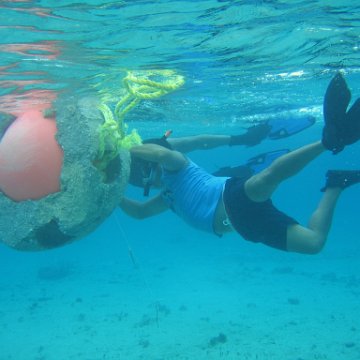 IMG_8946 IMG_8946