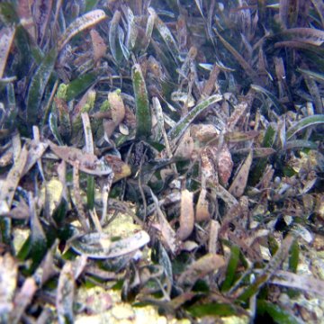 IMG_9106 IMG_9106