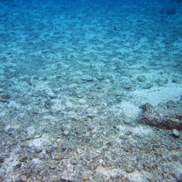 IMG_9107 IMG_9107