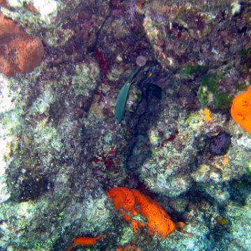 IMG_9114 IMG_9114