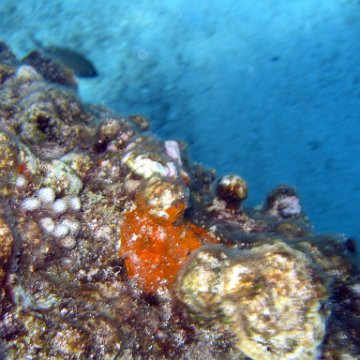 IMG_9116 IMG_9116