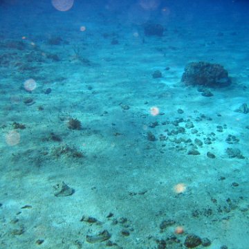 IMG_9119 IMG_9119