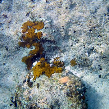 IMG_9120 IMG_9120