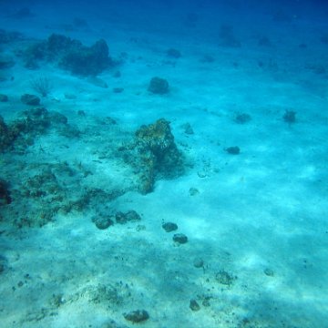 IMG_9121 IMG_9121