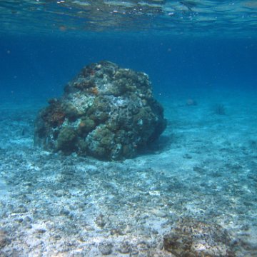 IMG_9129 IMG_9129