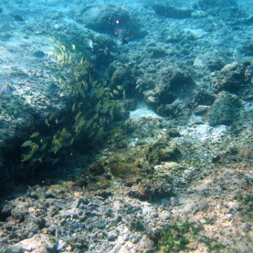 IMG_9130 IMG_9130