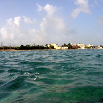 IMG_9133 IMG_9133