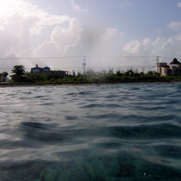 IMG_9134 IMG_9134