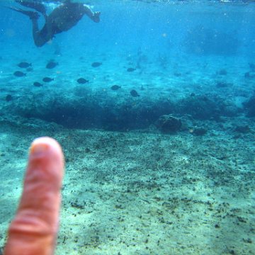 IMG_9135 IMG_9135