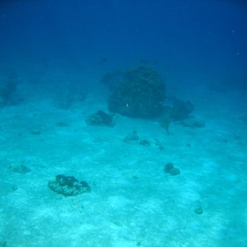 IMG_9140 IMG_9140