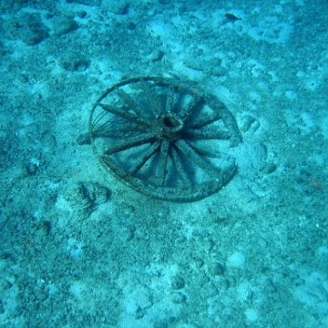 IMG_9143 IMG_9143