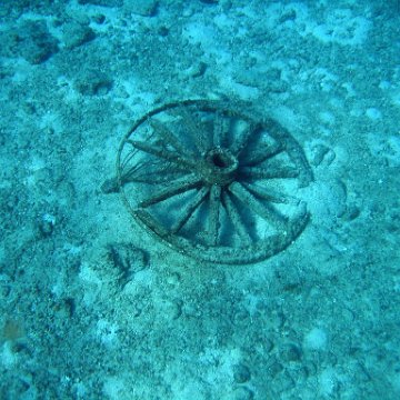 IMG_9144 IMG_9144