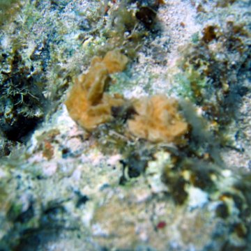 IMG_9148 IMG_9148