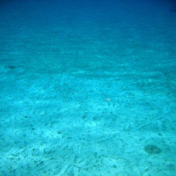 IMG_9149 IMG_9149