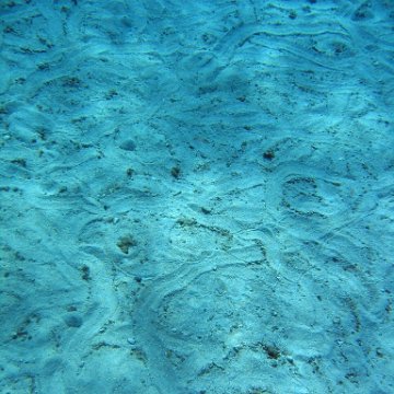 IMG_9150 IMG_9150