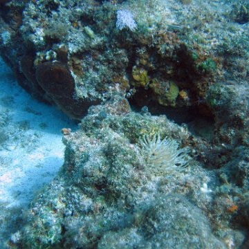 IMG_9151 IMG_9151