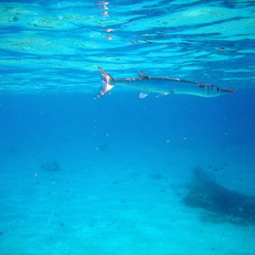 IMG_9154 IMG_9154